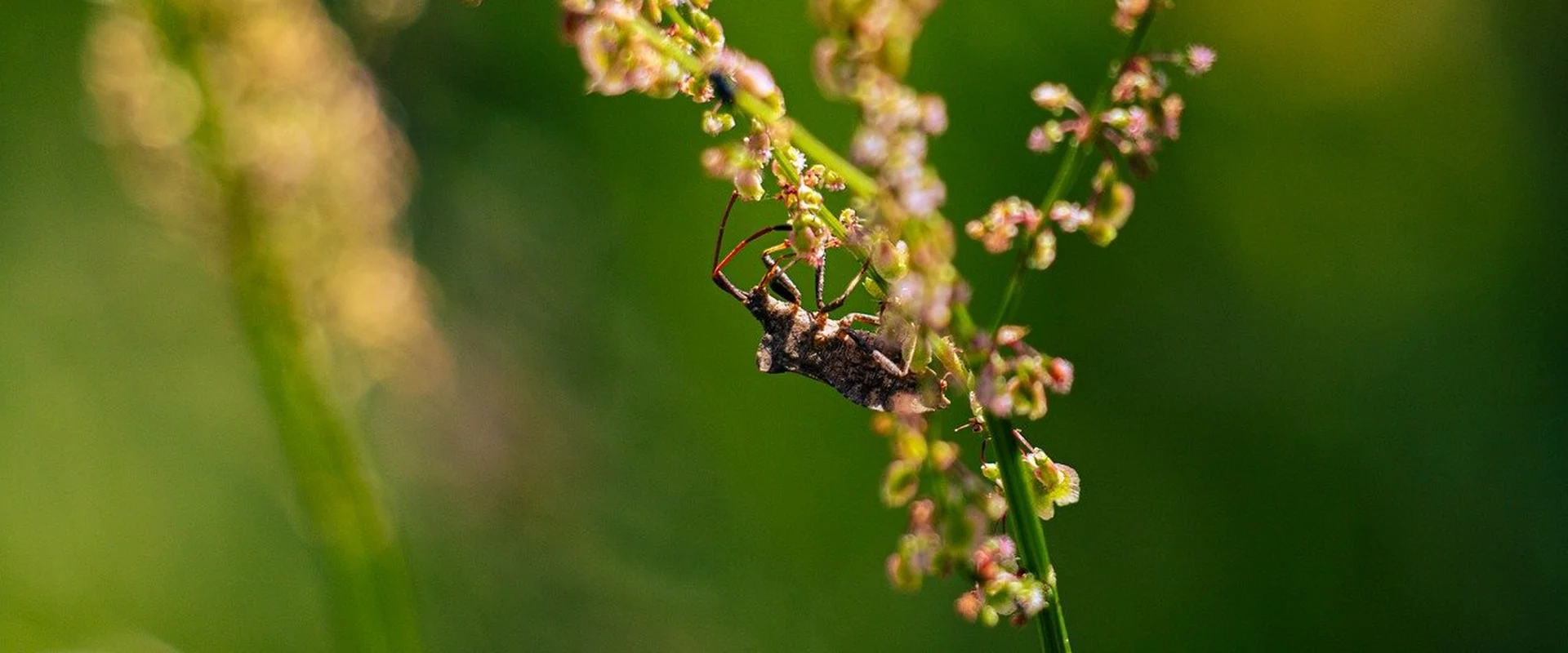 赌博网站PG电子